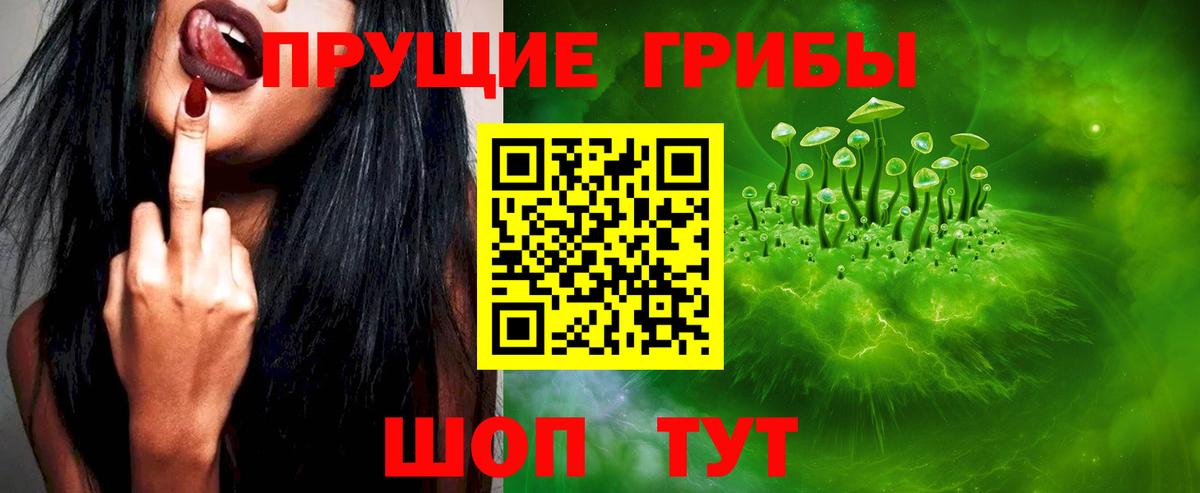 Псилоцибиновые грибы Psilocybe  Вход с VPN  Галлюциногенные грибы мухоморы  Зерноград 