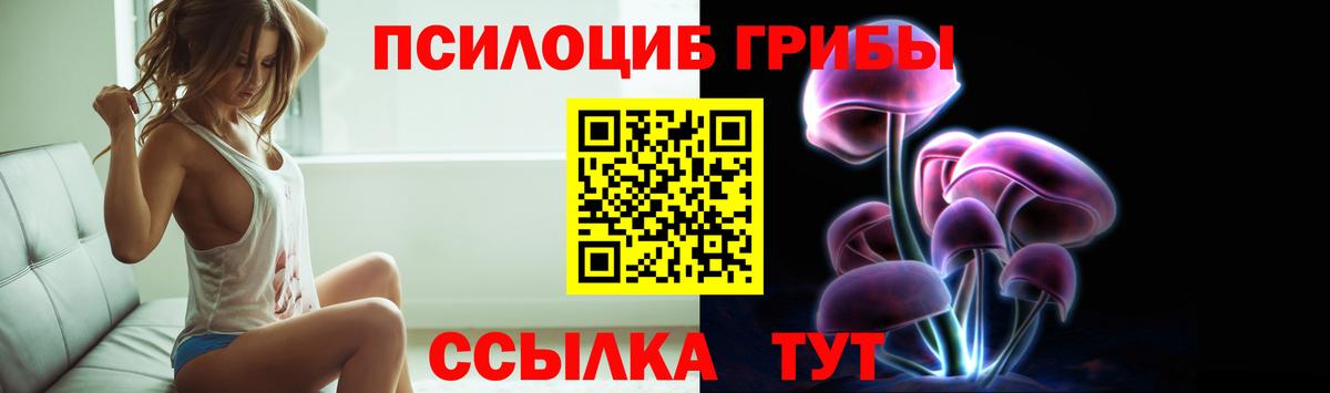 Псилоцибиновые грибы Psilocybine cubensis Зерноград